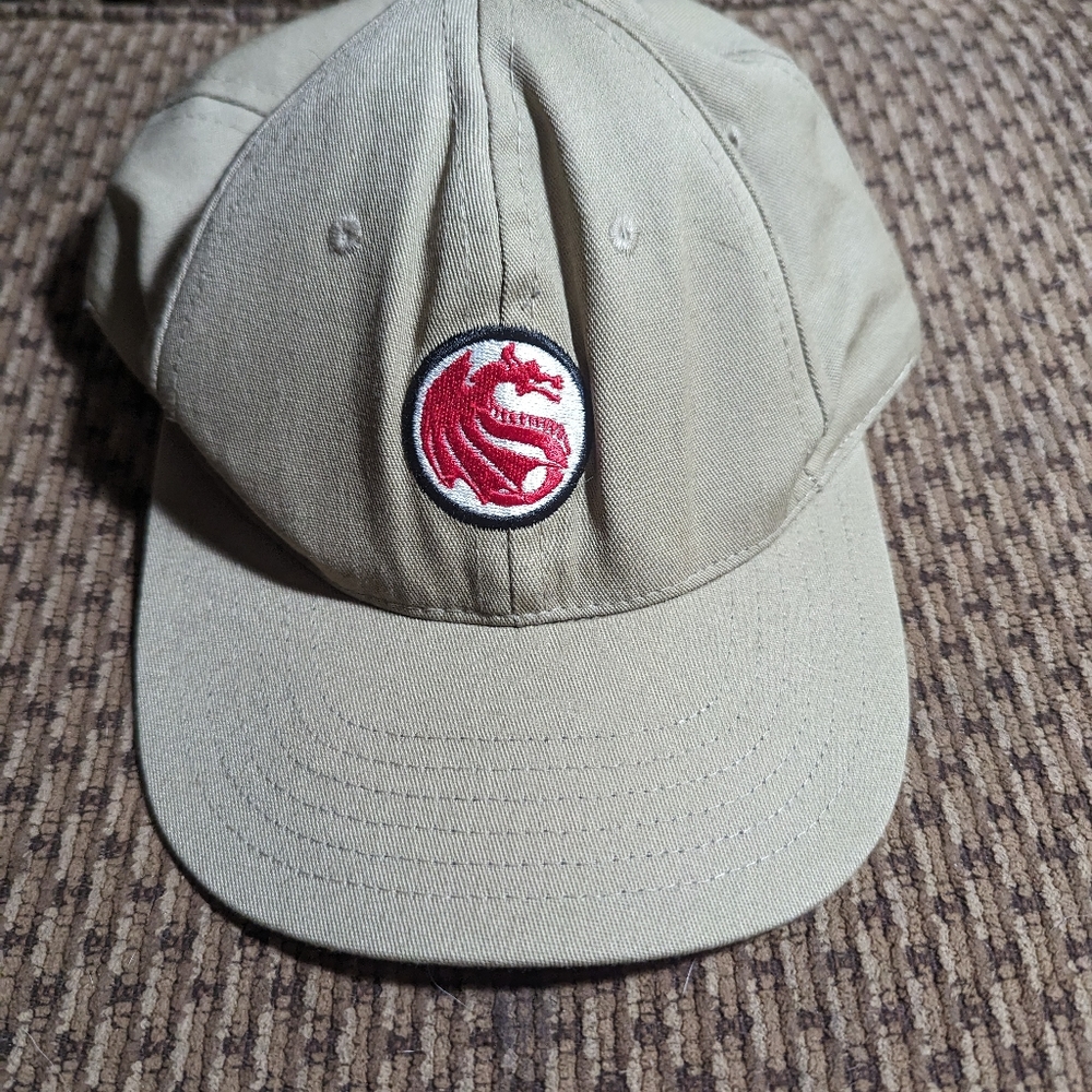 Vintage Red Dragon skateboards hat